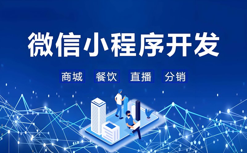 在选择合适的软件开发公司时，您可能会面临多种选项和决策困难。本文将通过对比分析不同公司的优劣势，帮助您做出明智的选择。